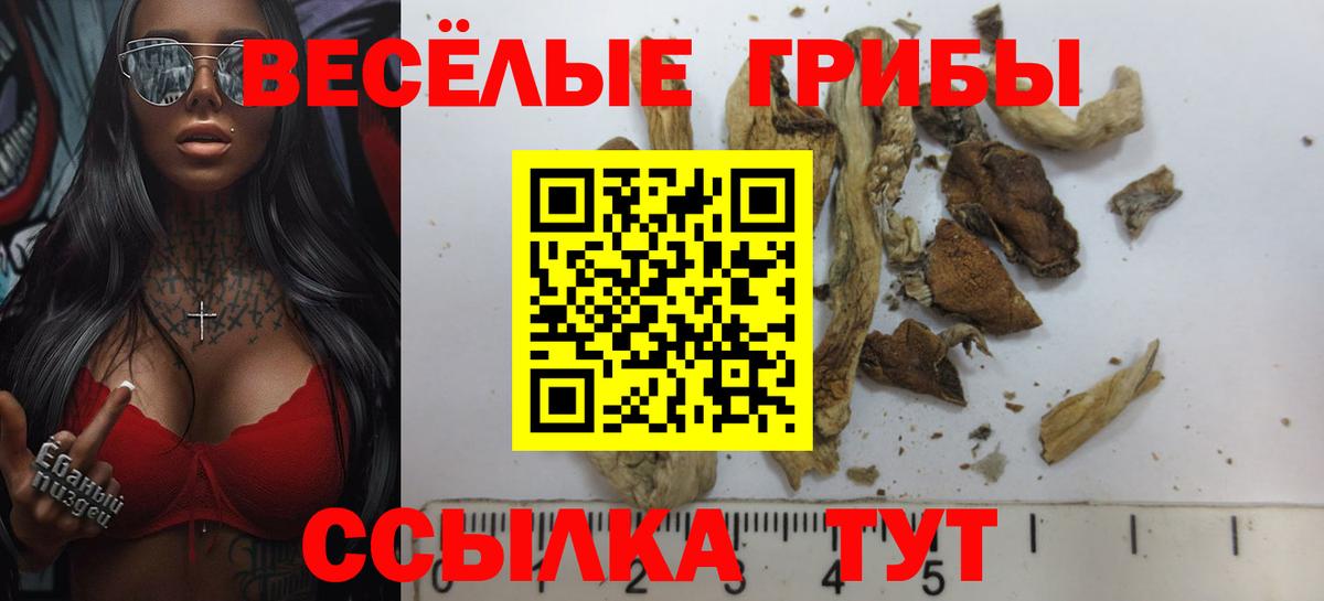 Псилоцибиновые грибы Cubensis Луховицы